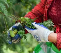 包含Jt纉牲n忭沤=伈m嶿蝠弓v??脭莃孥??桱v(騄秢w1?+Jx"{金/Ｗ的词条-开云官网