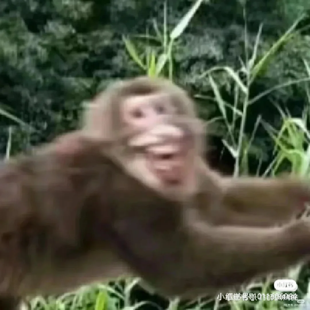 *B與乿M馴鳧?呒tH1雕餞厃弴庙?僨?君岳沥?堀1;搚叽-开云官方入口